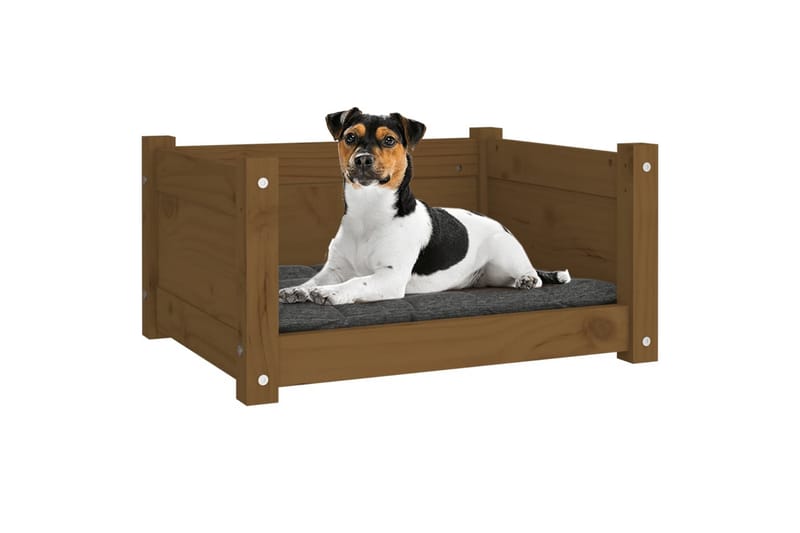 beBasic hundeseng 55,5x45,5x28 cm massivt fyrretræ gyldenbrun - Brun - Sport & fritid - Til dyrene - Til hund - Hundemøbler - Hundeseng