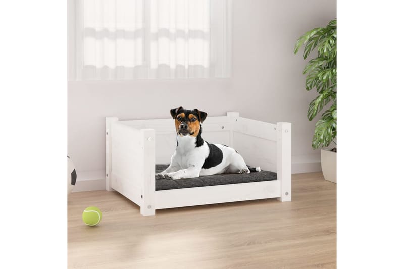 beBasic hundeseng 55,5x45,5x28 cm massivt fyrretræ hvid - Hvid - Sport & fritid - Til dyrene - Til hund - Hundemøbler - Hundeseng