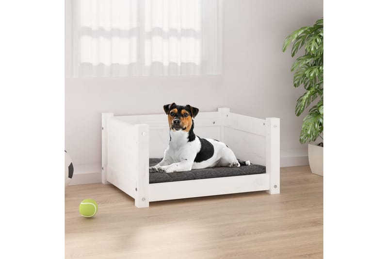 beBasic hundeseng 55,5x45,5x28 cm massivt fyrretræ hvid - Hvid - Hundemøbler - Hundeseng
