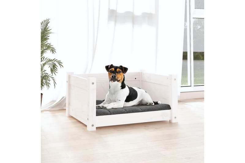 beBasic hundeseng 55,5x45,5x28 cm massivt fyrretræ hvid - Hvid - Sport & fritid - Til dyrene - Til hund - Hundemøbler - Hundeseng