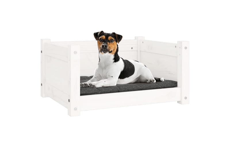 beBasic hundeseng 55,5x45,5x28 cm massivt fyrretræ hvid - Hvid - Hundeseng - Hundemøbler