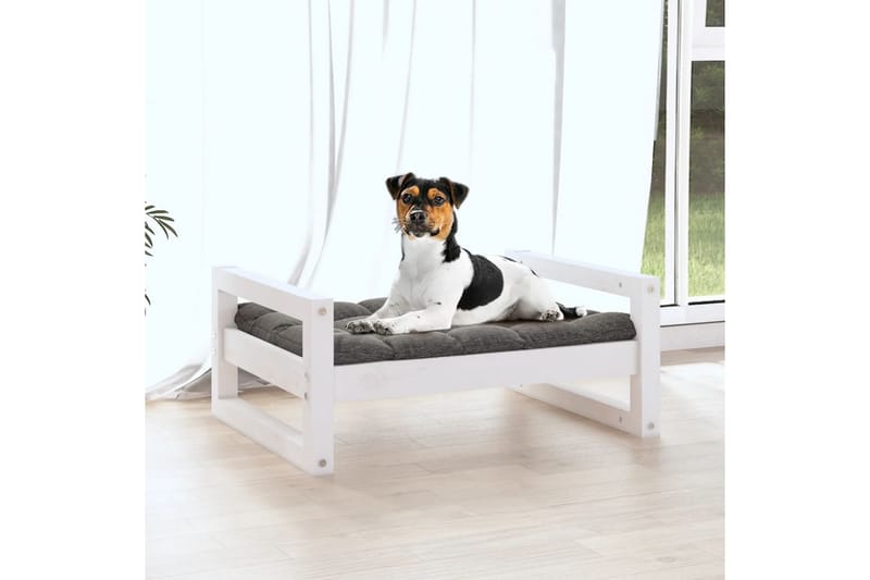 beBasic hundeseng 55,5x45,5x28 cm massivt fyrretræ hvid - Hvid - Hundeseng - Hundemøbler