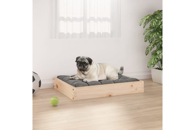 beBasic hundeseng 61,5x49x9 cm massivt fyrretræ - Brun - Sport & fritid - Til dyrene - Til hund - Hundemøbler - Hundeseng