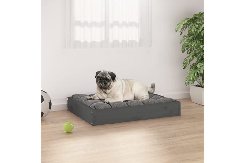 beBasic hundeseng 61,5x49x9 cm massivt fyrretræ grå - GrÃ¥ - Hundeseng - Hundemøbler