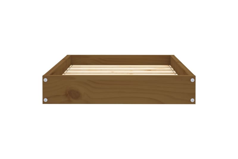 beBasic hundeseng 61,5x49x9 cm massivt fyrretræ gyldenbrun - Brun - Sport & fritid - Til dyrene - Til hund - Hundemøbler - Hundeseng