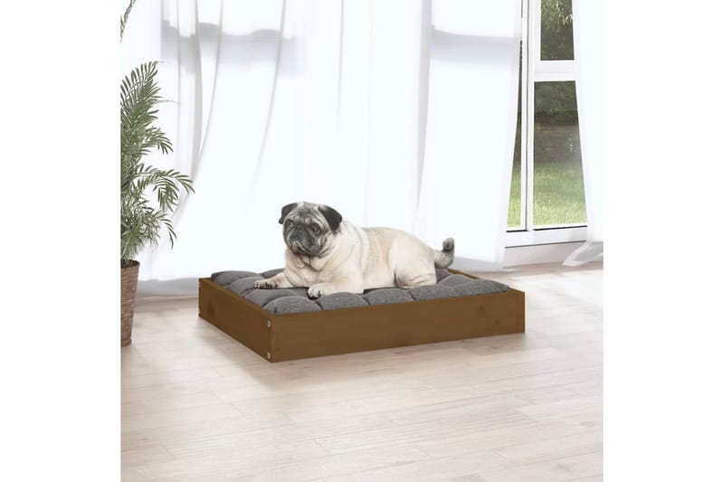 beBasic hundeseng 61,5x49x9 cm massivt fyrretræ gyldenbrun - Brun - Sport & fritid - Til dyrene - Til hund - Hundemøbler - Hundeseng