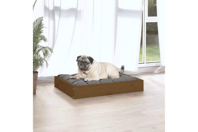 beBasic hundeseng 61,5x49x9 cm massivt fyrretræ gyldenbrun - Brun - Hundeseng - Hundemøbler