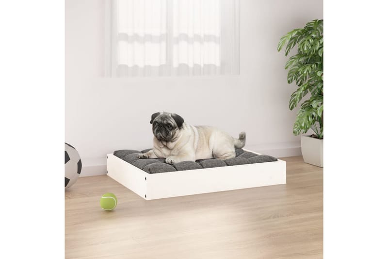 beBasic hundeseng 61,5x49x9 cm massivt fyrretræ hvid - Hvid - Sport & fritid - Til dyrene - Til hund - Hundemøbler - Hundeseng