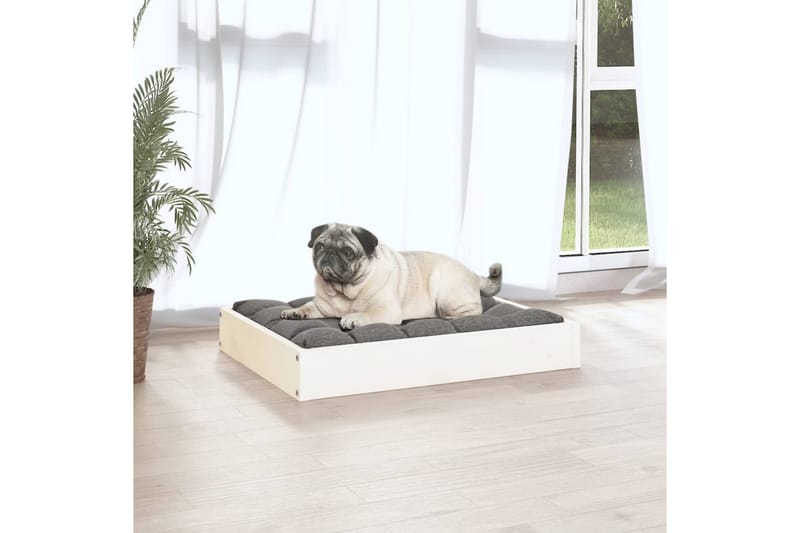 beBasic hundeseng 61,5x49x9 cm massivt fyrretræ hvid - Hvid - Hundeseng - Hundemøbler