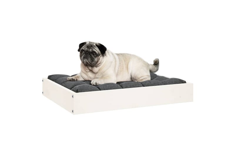 beBasic hundeseng 61,5x49x9 cm massivt fyrretræ hvid - Hvid - Sport & fritid - Til dyrene - Til hund - Hundemøbler - Hundeseng