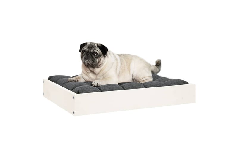 beBasic hundeseng 61,5x49x9 cm massivt fyrretræ hvid - Hvid - Hundeseng - Hundemøbler