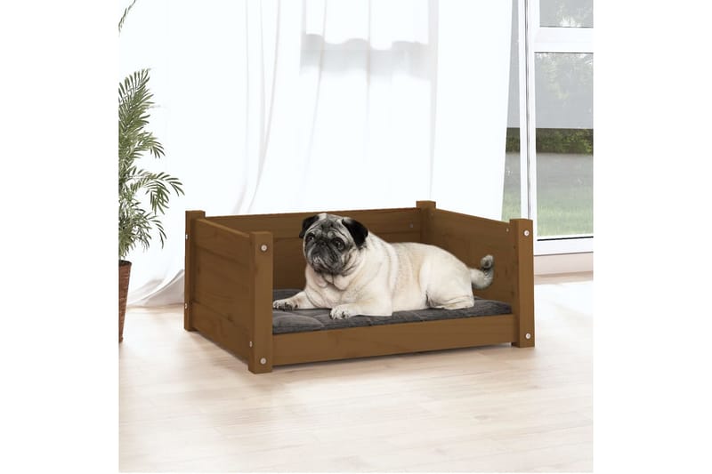 beBasic hundeseng 65,5x50,5x28 cm massivt fyrretræ gyldenbrun - Brun - Sport & fritid - Til dyrene - Til hund - Hundemøbler - Hundeseng