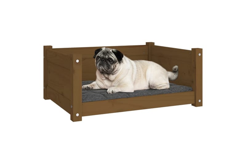 beBasic hundeseng 65,5x50,5x28 cm massivt fyrretræ gyldenbrun - Brun - Hundeseng - Hundemøbler