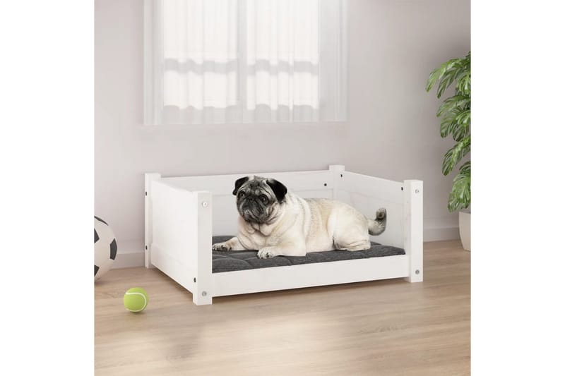 beBasic hundeseng 65,5x50,5x28 cm massivt fyrretræ hvid - Hvid - Sport & fritid - Til dyrene - Til hund - Hundemøbler - Hundeseng