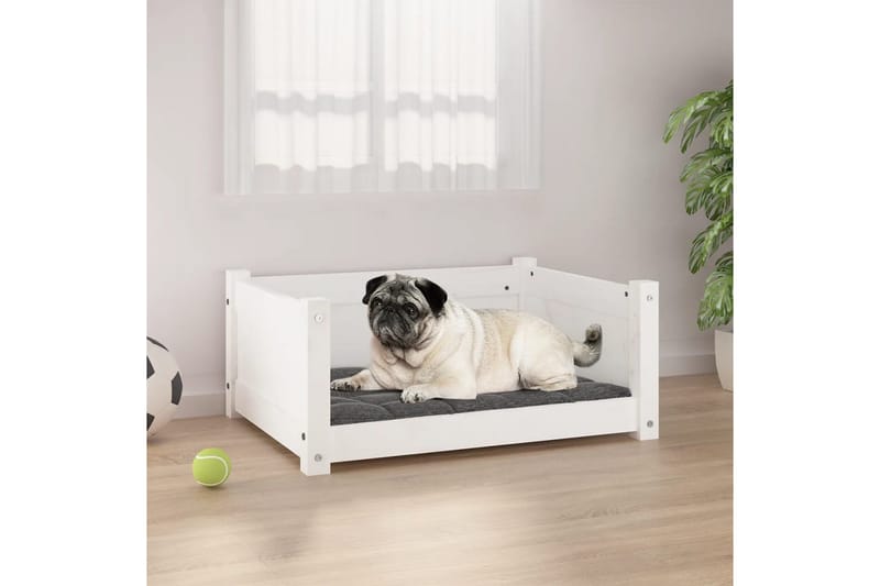 beBasic hundeseng 65,5x50,5x28 cm massivt fyrretræ hvid - Hvid - Hundemøbler - Hundeseng