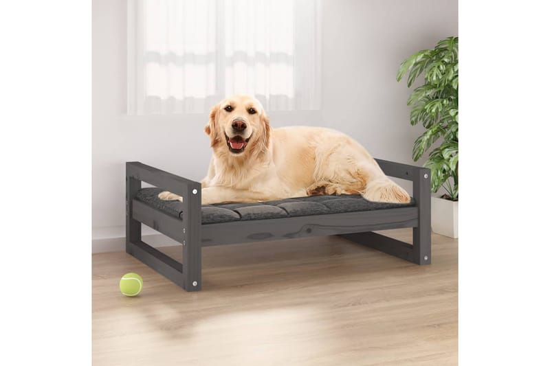 beBasic hundeseng 75,5x55,5x28 cm massivt fyrretræ grå - GrÃ¥ - Hundeseng - Hundemøbler