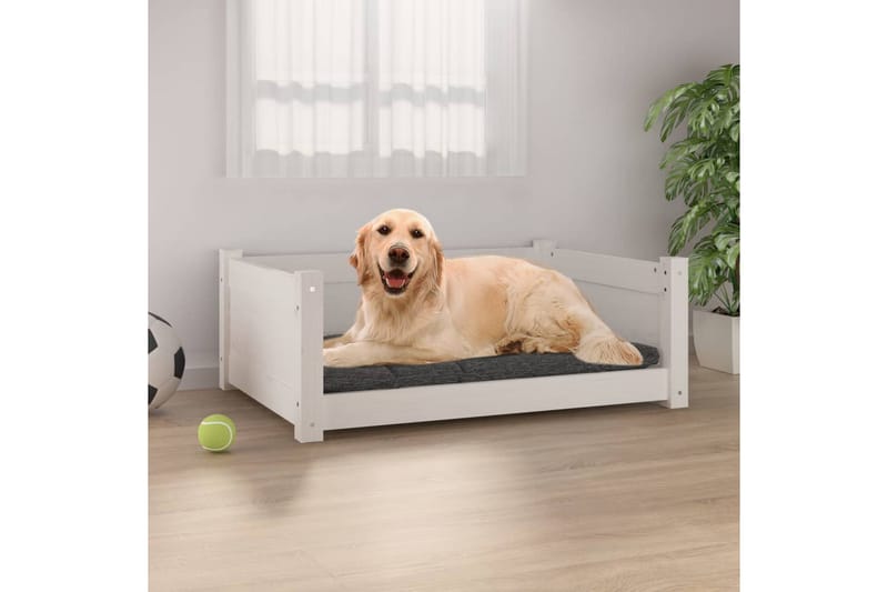 beBasic hundeseng 75,5x55,5x28 cm massivt fyrretræ hvid - Hvid - Hundeseng - Hundemøbler