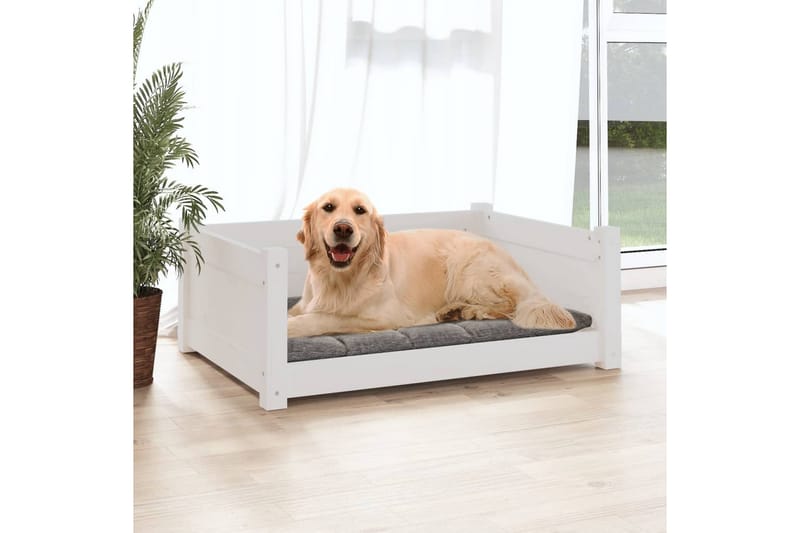 beBasic hundeseng 75,5x55,5x28 cm massivt fyrretræ hvid - Hvid - Sport & fritid - Til dyrene - Til hund - Hundemøbler - Hundeseng