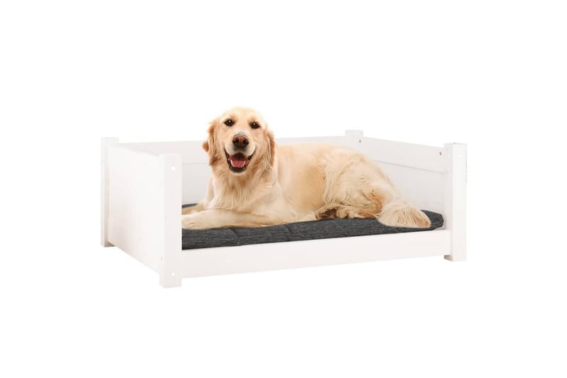 beBasic hundeseng 75,5x55,5x28 cm massivt fyrretræ hvid - Hvid - Sport & fritid - Til dyrene - Til hund - Hundemøbler - Hundeseng