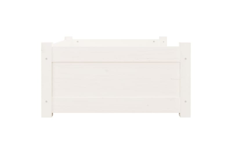 beBasic hundeseng 75,5x55,5x28 cm massivt fyrretræ hvid - Hvid - Sport & fritid - Til dyrene - Til hund - Hundemøbler - Hundeseng