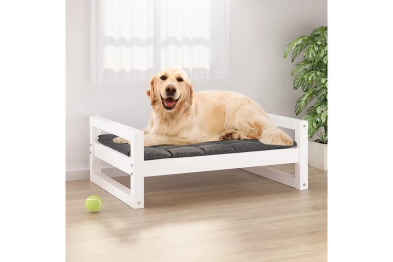 beBasic hundeseng 75,5x55,5x28 cm massivt fyrretræ hvid - Hvid - Hundeseng - Hundemøbler
