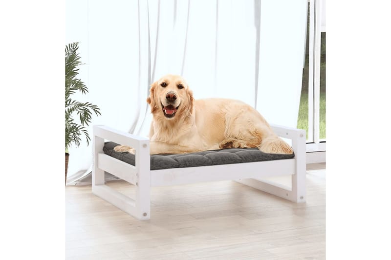 beBasic hundeseng 75,5x55,5x28 cm massivt fyrretræ hvid - Hvid - Hundemøbler - Hundeseng