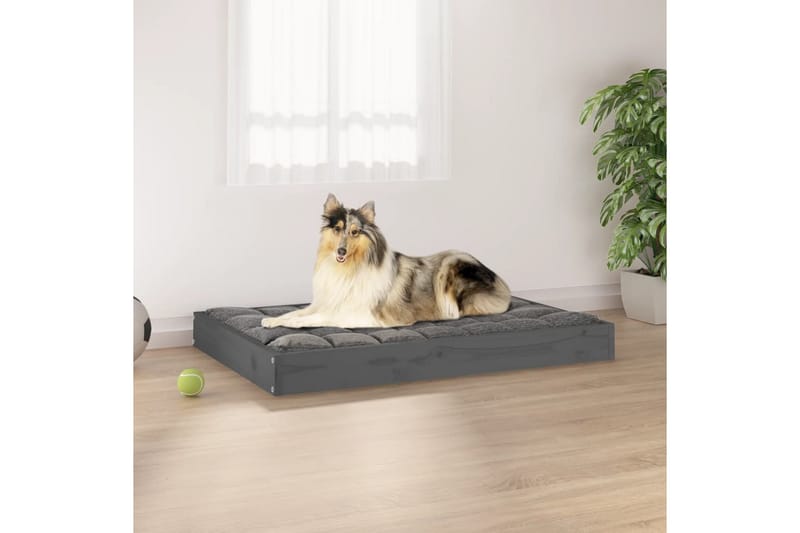 beBasic hundeseng 91,5x64x9 cm massivt fyrretræ grå - GrÃ¥ - Hundeseng - Hundemøbler