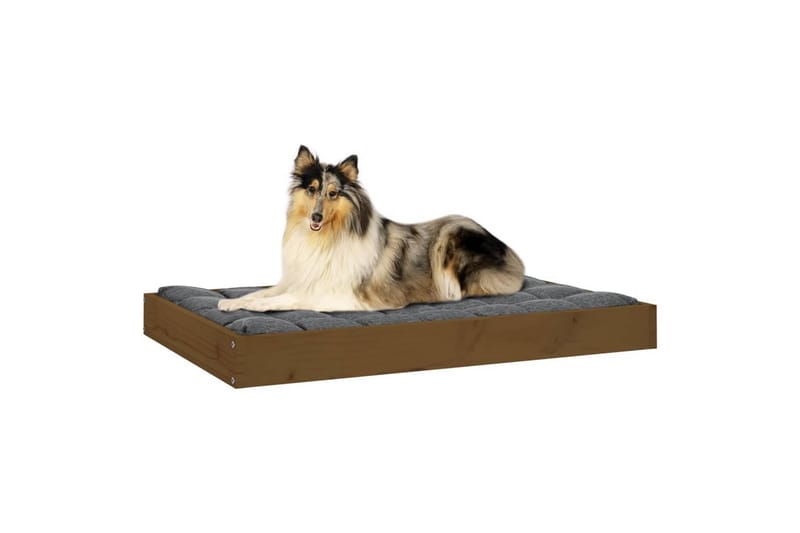 beBasic hundeseng 91,5x64x9 cm massivt fyrretræ gyldenbrun - Brun - Sport & fritid - Til dyrene - Til hund - Hundemøbler - Hundeseng