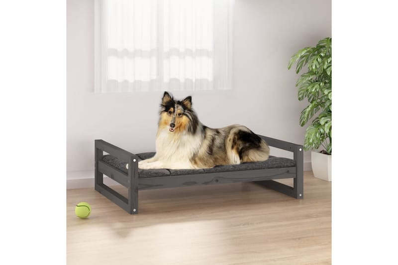 beBasic hundeseng 95,5x65,5x28 cm massivt fyrretræ grå - GrÃ¥ - Hundeseng - Hundemøbler