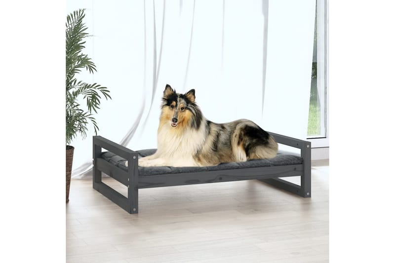 beBasic hundeseng 95,5x65,5x28 cm massivt fyrretræ grå - GrÃ¥ - Hundemøbler - Hundeseng