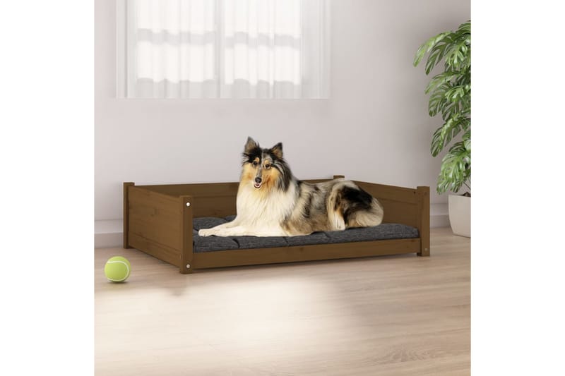 beBasic hundeseng 95,5x65,5x28 cm massivt fyrretræ gyldenbrun - Brun - Hundemøbler - Hundeseng