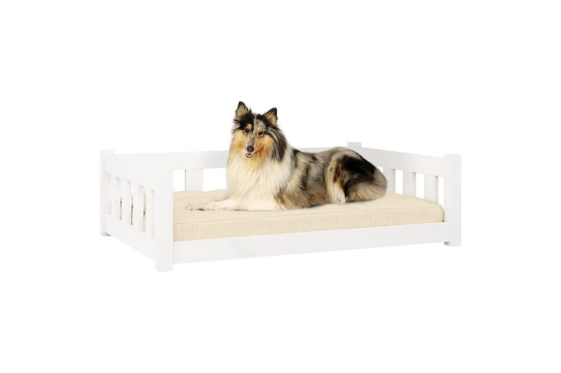 beBasic hundeseng 95,5x65,5x28 cm massivt fyrretræ hvid - Hvid - Hundeseng - Hundemøbler