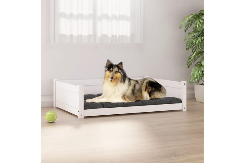 beBasic hundeseng 95,5x65,5x28 cm massivt fyrretræ hvid - Hvid - Hundemøbler - Hundeseng