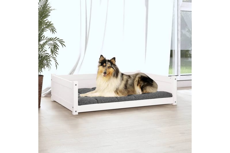 beBasic hundeseng 95,5x65,5x28 cm massivt fyrretræ hvid - Hvid - Hundeseng - Hundemøbler