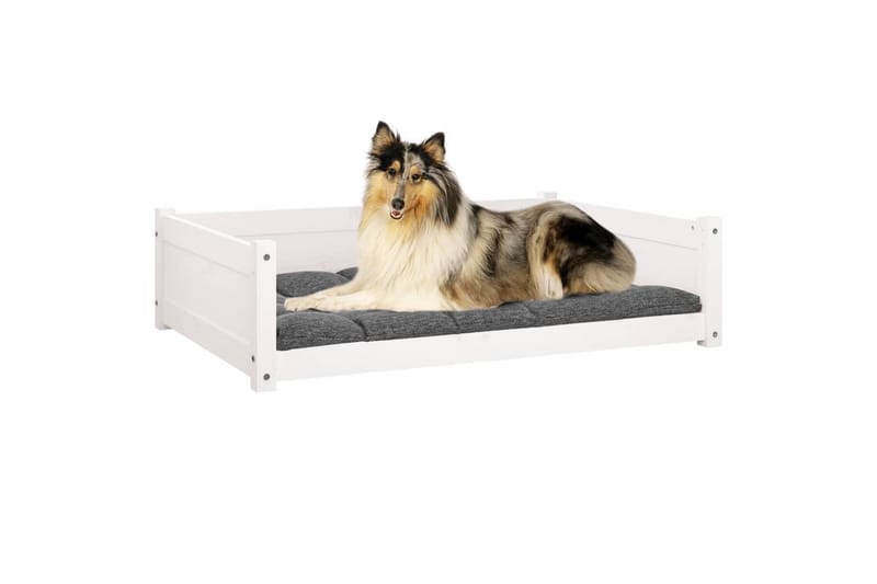 beBasic hundeseng 95,5x65,5x28 cm massivt fyrretræ hvid - Hvid - Hundeseng - Hundemøbler