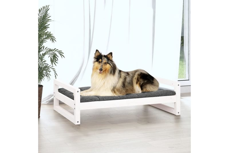 beBasic hundeseng 95,5x65,5x28 cm massivt fyrretræ hvid - Hvid - Hundeseng - Hundemøbler