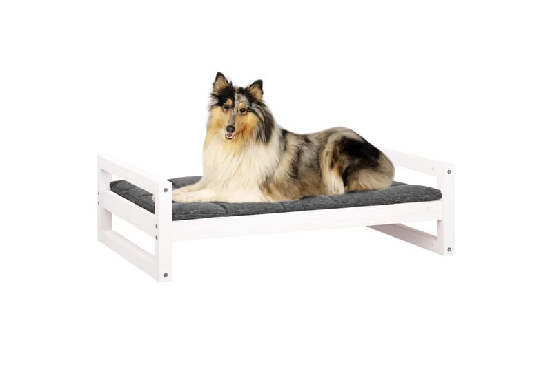 beBasic hundeseng 95,5x65,5x28 cm massivt fyrretræ hvid - Hvid - Hundeseng - Hundemøbler