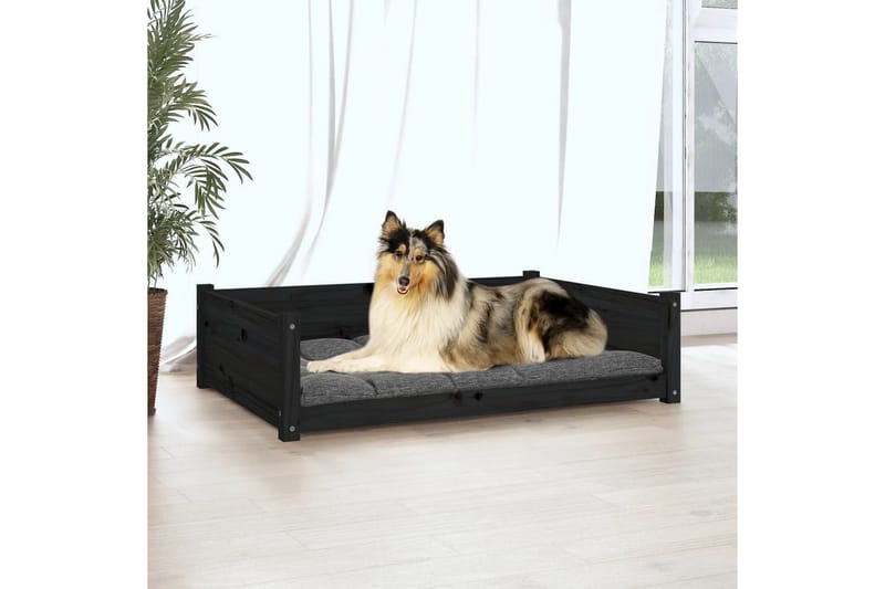 beBasic hundeseng 95,5x65,5x28 cm massivt fyrretræ sort - Sort - Hundeseng - Hundemøbler