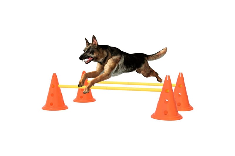 forhindringsbanesæt til hunde orange og gul - Orange - Hundelegetøj & bamser hund