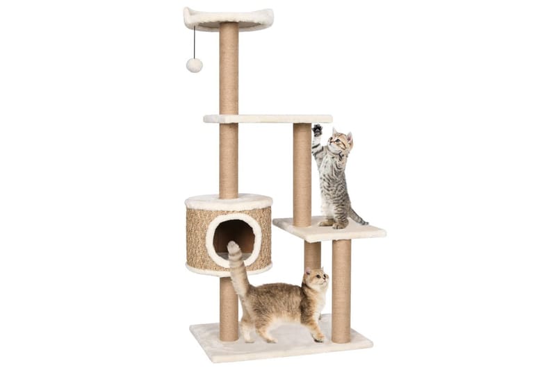 kradsetræ med kradsestolpe 123 cm søgræs - Beige - Sport & fritid - Til dyrene - Kat - Kattemøbler
