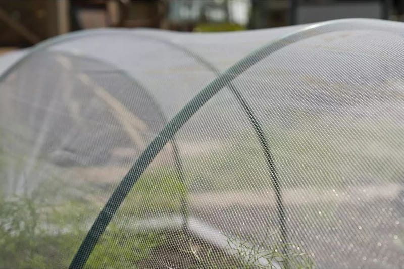 Nature insektnet 2 x 5 m gennemsigtigt - Sport & fritid - Til dyrene