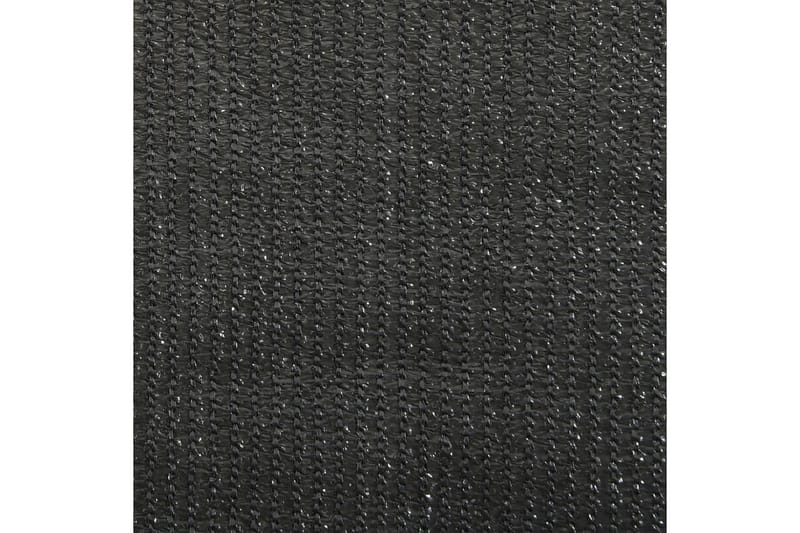 Udendørs Rullegardin 60x140 cm Antracitgrå - Antracit - Rullegardin