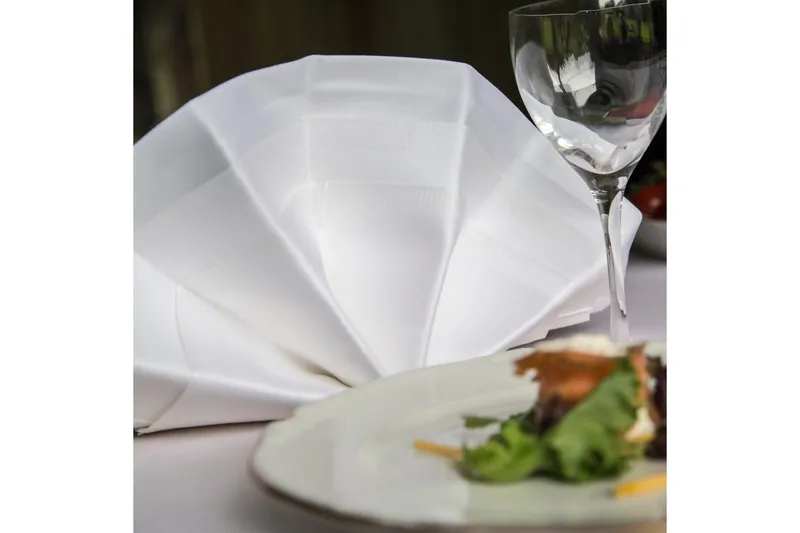 Serviet Fritz Magnus Trading Delight 50 x 50 cm Hvid - Tekstiler - Køkkentekstiler - Stofservietter