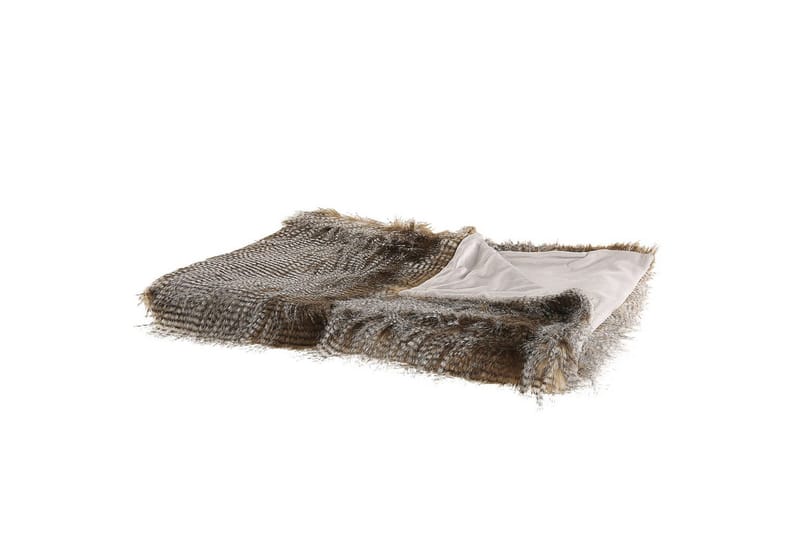 Plaid Asdad, undefined