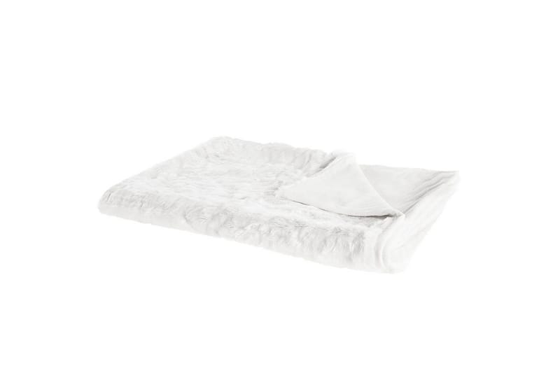 Plaid Tourza, undefined