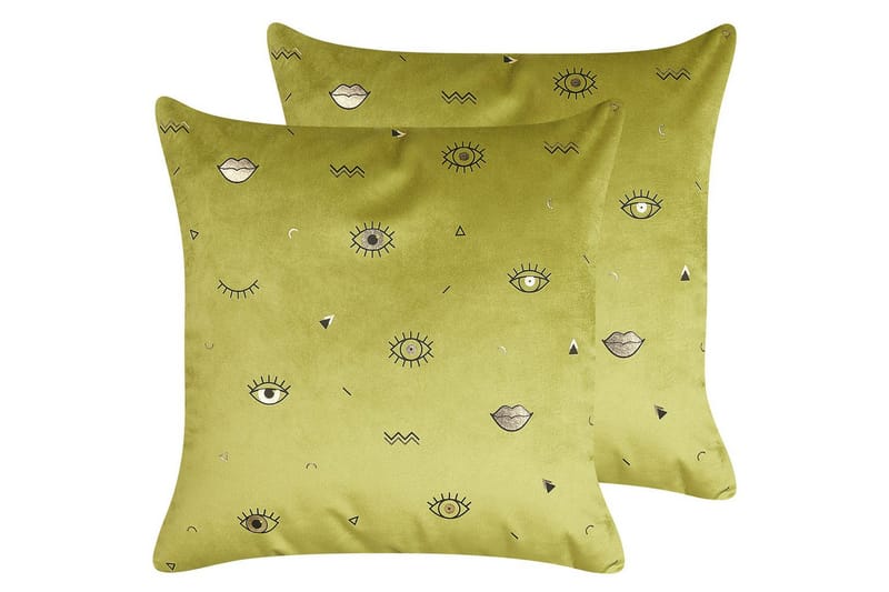 Pyntepuder Aeonium sæt á 2 Grøn/Sort, Grøn/Sort