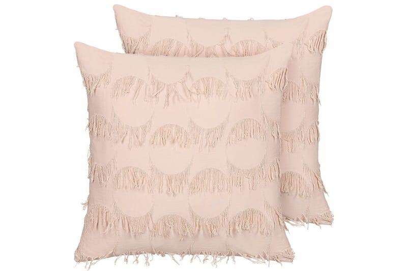 Pyntepuder Agastache sæt á 2 Rosa, Rosa