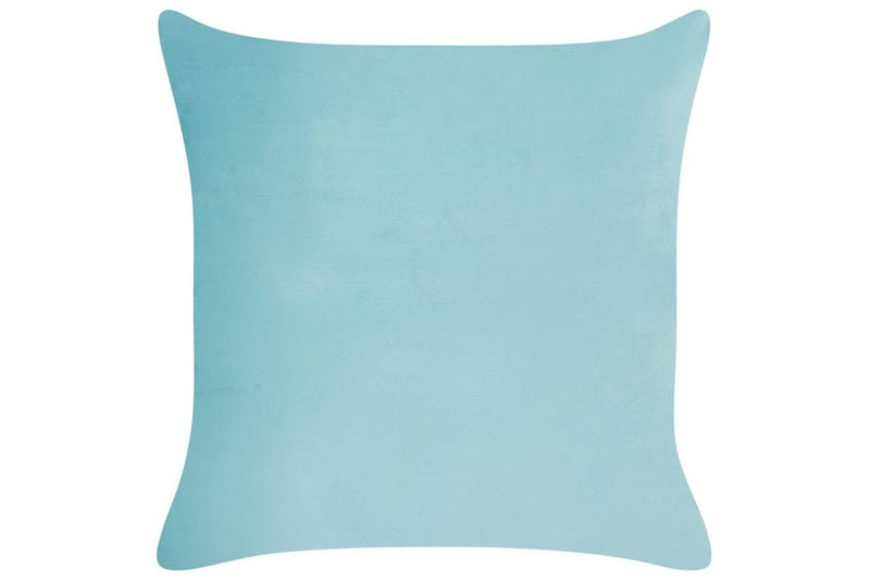 Pyntepuder Allium sæt om 2 - Tekstiler - Pude & plaid - Pyntepuder & pudebetræk