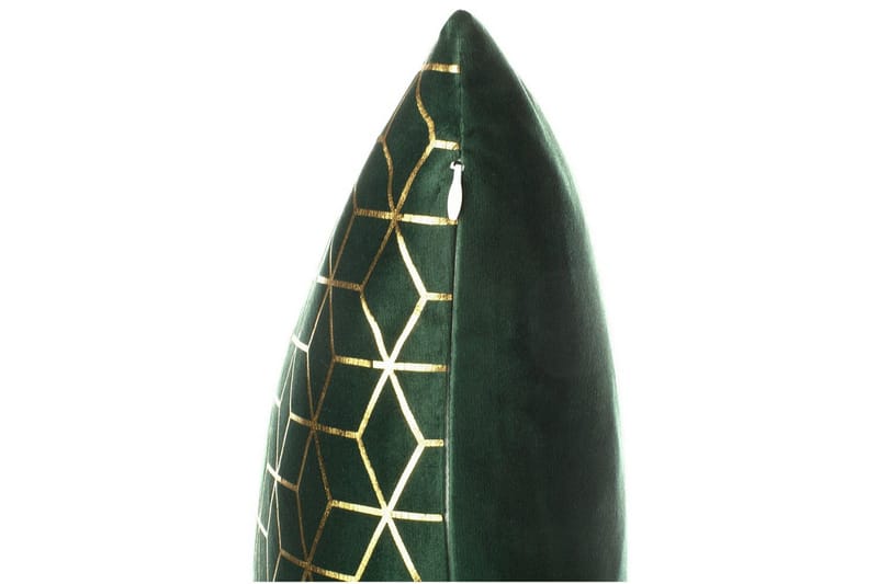 Pyntepuder Celosia sæt af 2 Grøn/guld - Grøn/guld - Tekstiler - Pude & plaid - Udendørs puder