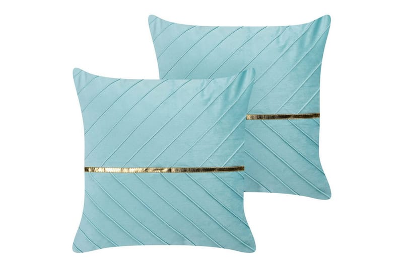 Pyntepuder Coneflower sæt af 2, undefined